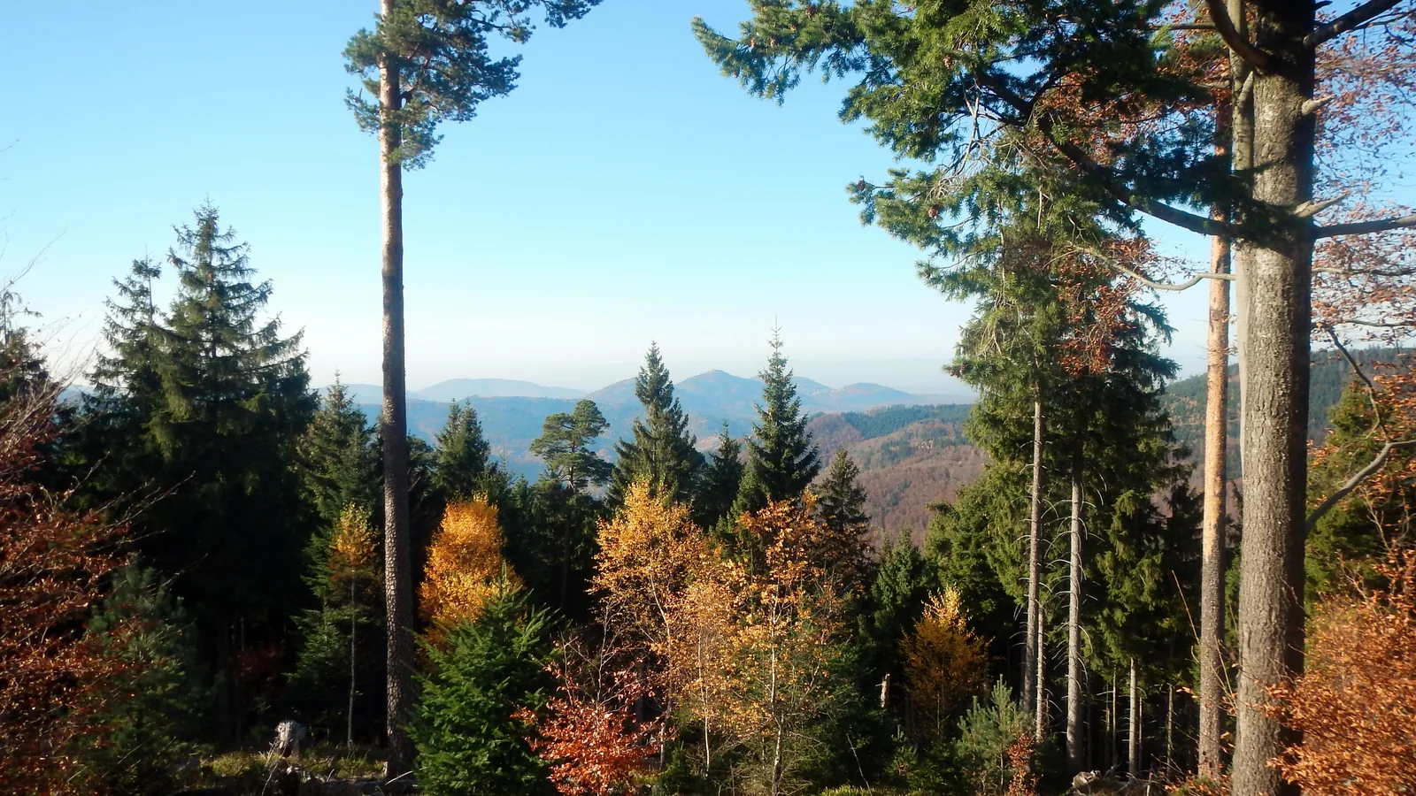 Blick über das Murgtal bei Gaggenau
