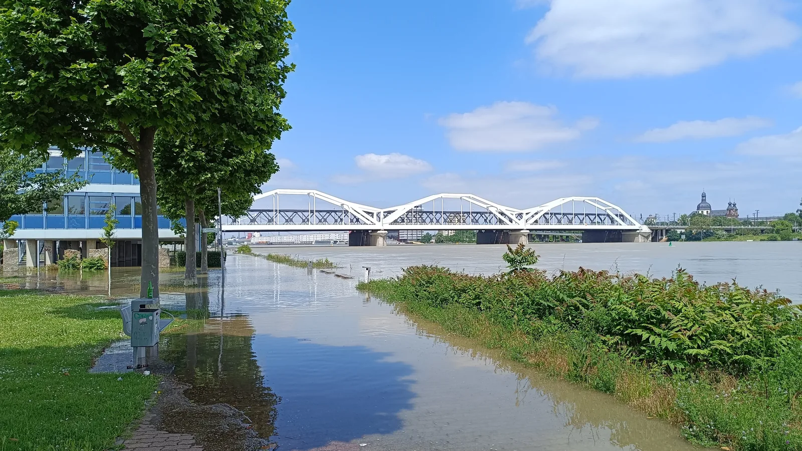 Rheinufer Süd in Ludwigshafen mit Rheinbrücke
